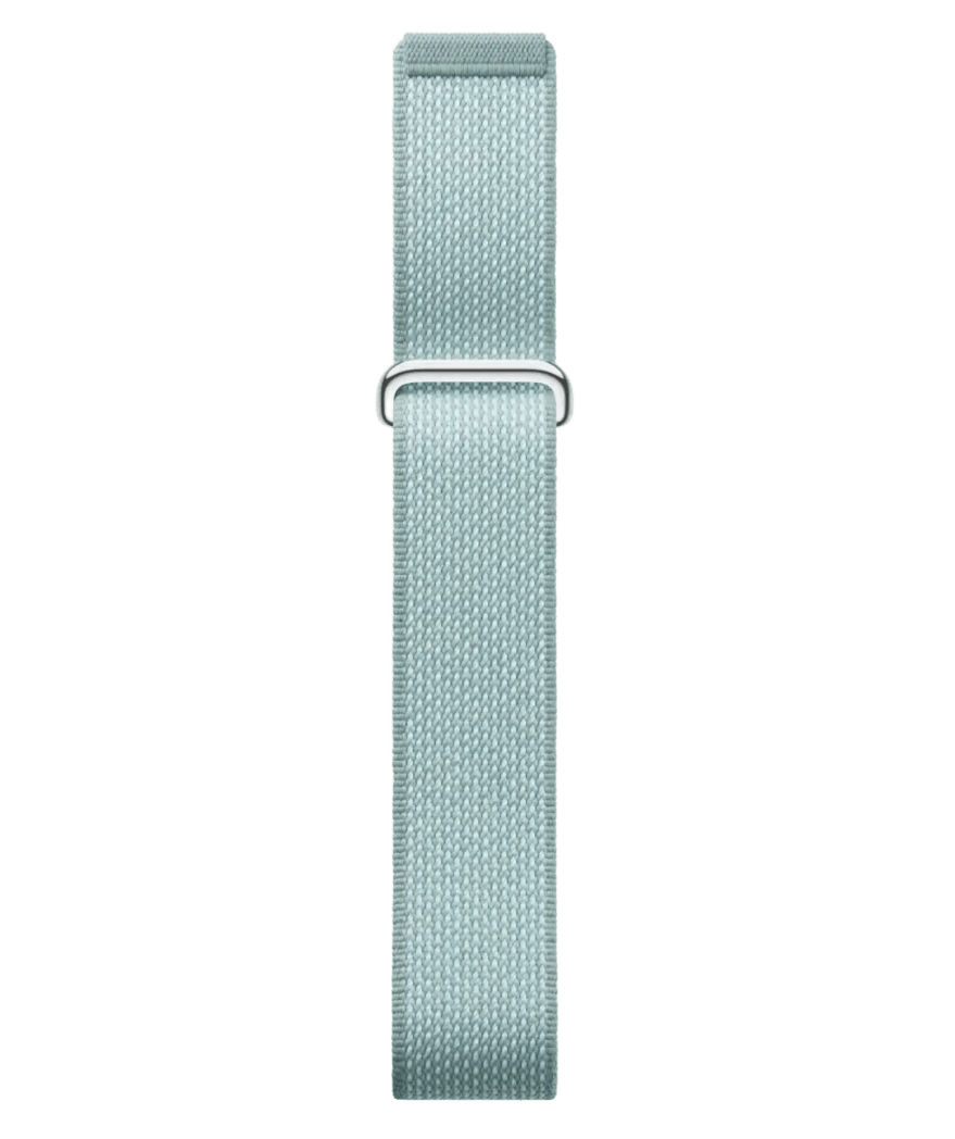 Google Fitbit Air - fog