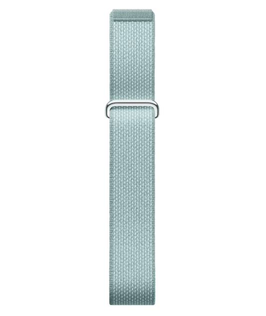 Google Fitbit Air - fog