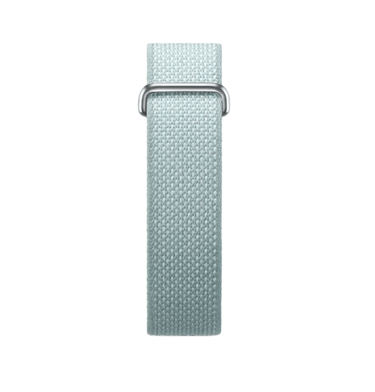 Google Fitbit Air - fog