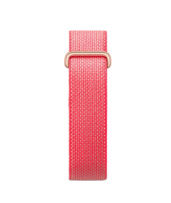 Google Fitbit Air - Berry