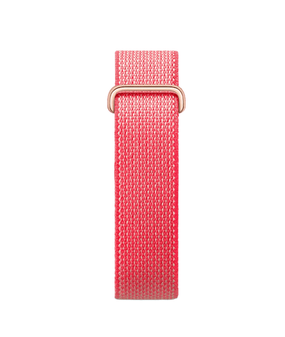 Google Fitbit Air - Berry