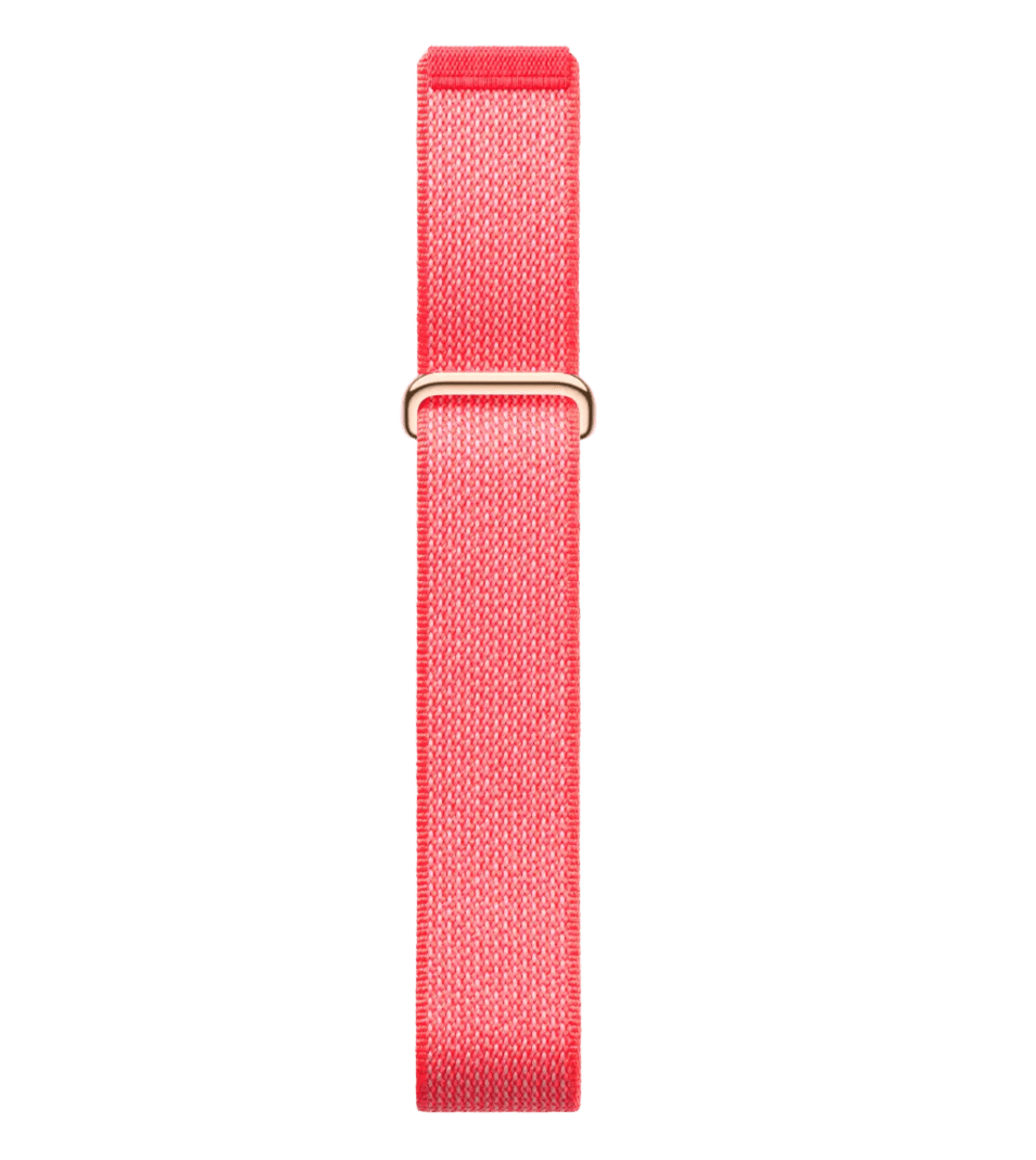Google Fitbit Air - Berry
