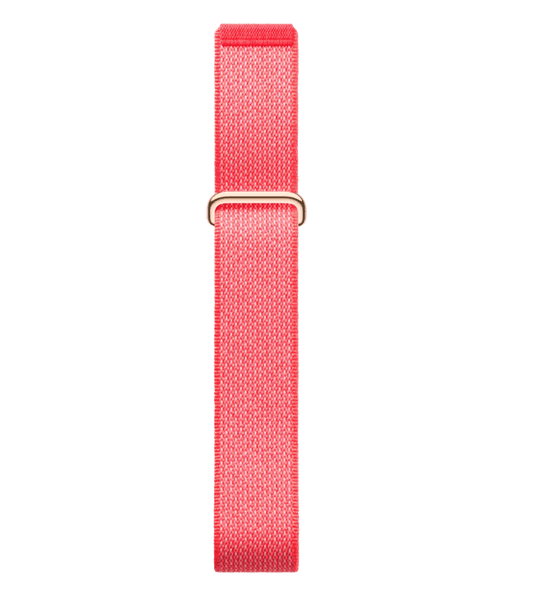 Google Fitbit Air - Berry