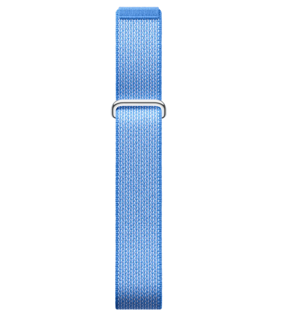 Google Fitbit Air -  Lavender