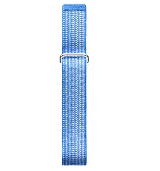 Google Fitbit Air -  Lavender