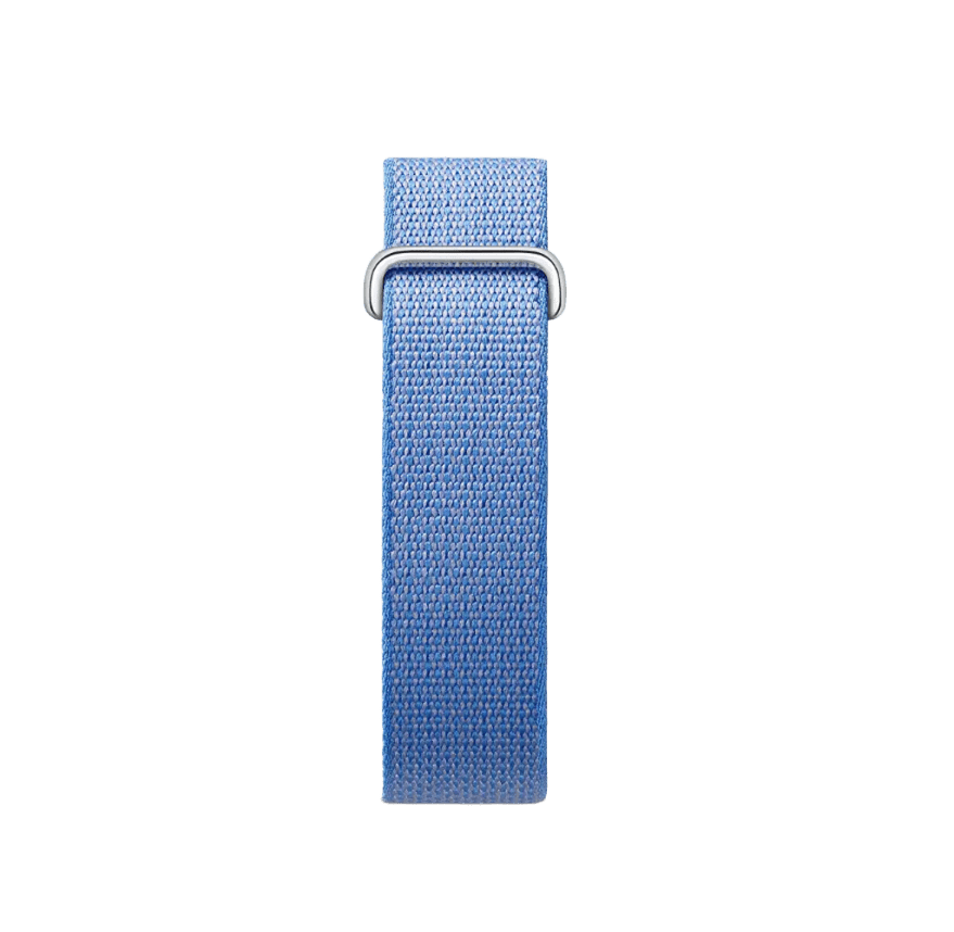 Google Fitbit Air -  Lavender