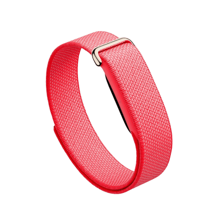 Google Fitbit Air - Berry
