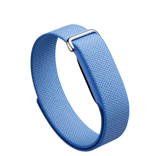 Google Fitbit Air -  Lavender