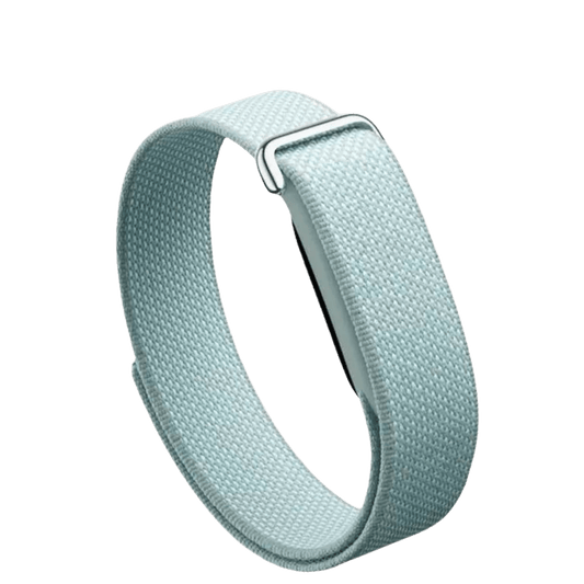 Google Fitbit Air - fog
